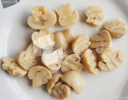 Image of Champignon mushroom dish