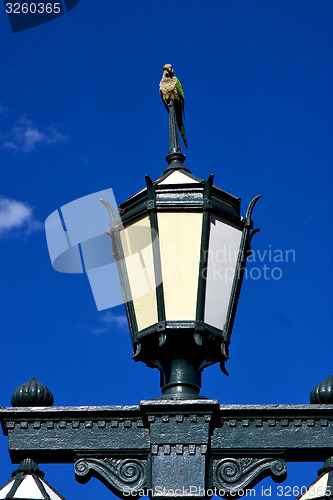 Image of  green street lamp and parrot 