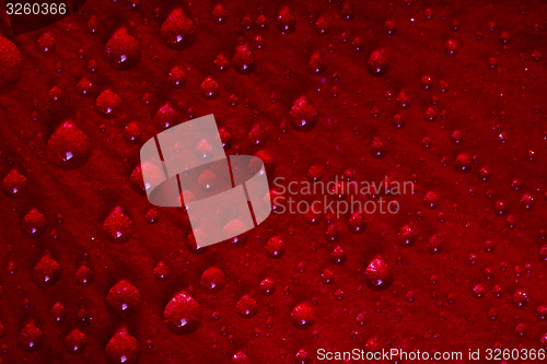Image of red texture 