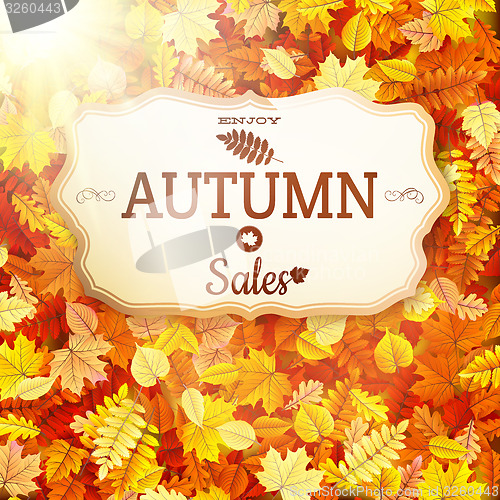 Image of Autumn sale vntage signboard. EPS 10