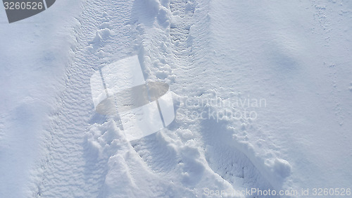 Image of Footsteps on the snow