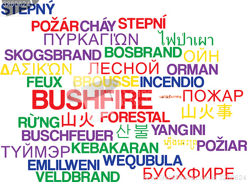 Image of Bushfire multilanguage wordcloud background concept