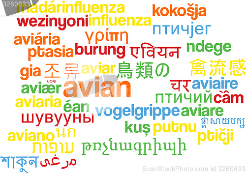 Image of Avian multilanguage wordcloud background concept
