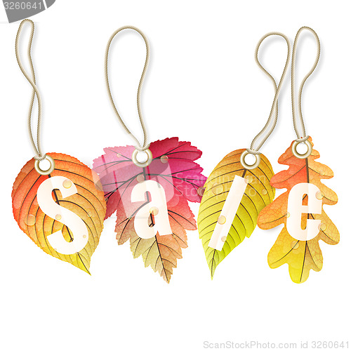 Image of Autumn sale tags. EPS 10