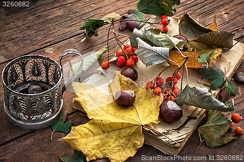 Image of autumn leaf fall