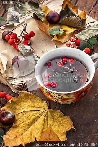 Image of autumn leaf fall