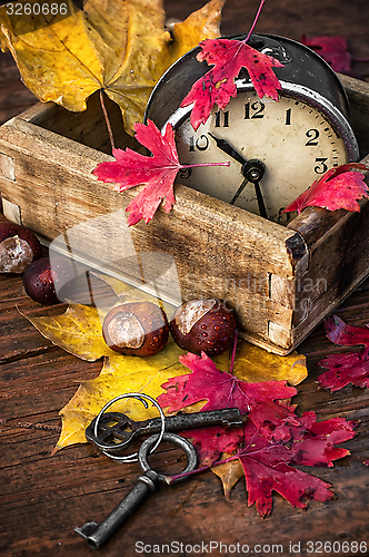 Image of autumn leaf fall