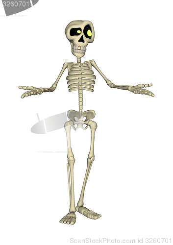 Image of Skeleton