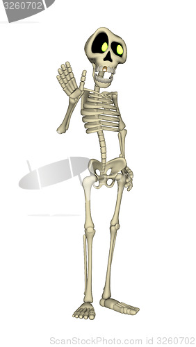 Image of Skeleton