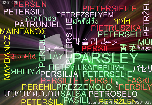 Image of Parsley multilanguage wordcloud background concept glowing