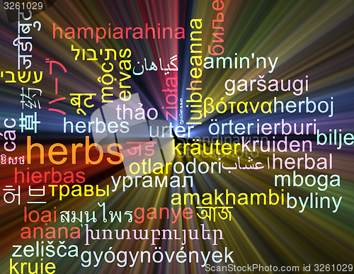 Image of Herbs multilanguage wordcloud background concept glowing