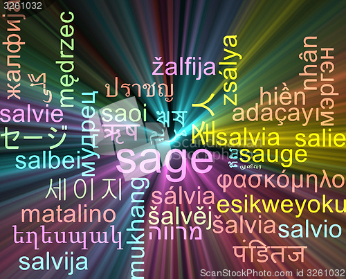 Image of Sage multilanguage wordcloud background concept glowing