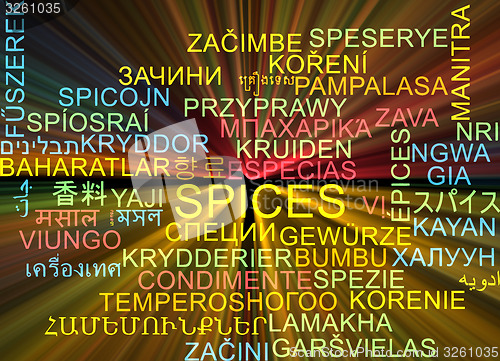 Image of Spices multilanguage wordcloud background concept glowing