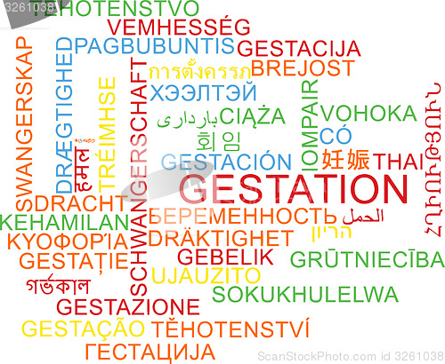 Image of Gestation multilanguage wordcloud background concept