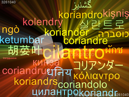 Image of Cilantro multilanguage wordcloud background concept glowing