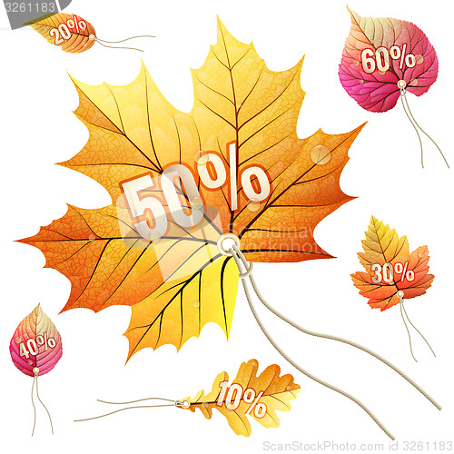 Image of Sale tags leaves shape. EPS 10