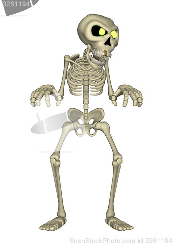 Image of Skeleton