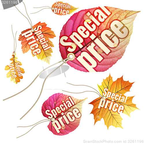 Image of Set of Autumn Sale tags. EPS 10