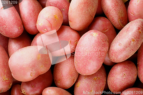 Image of Red Potatoes Background