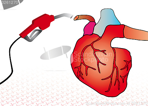 Image of cardiac system