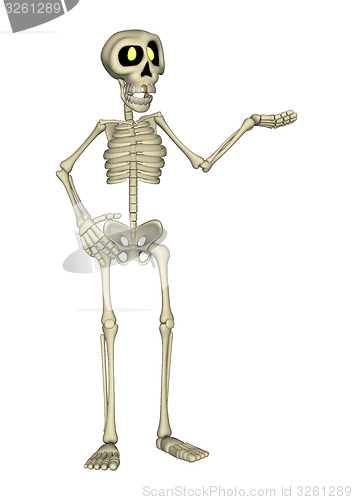 Image of Skeleton