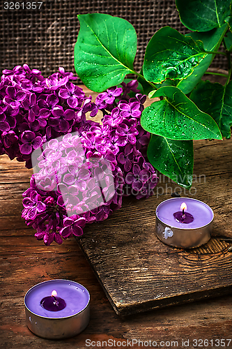 Image of Bush may lilac and lighted candle