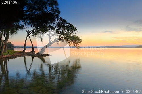 Image of Sunset Dreaming