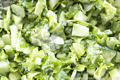 Image of Green salad with fresh vegetables