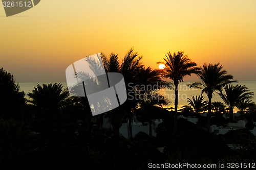 Image of Sunrise, Red Sea, Egypt