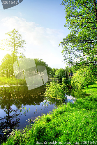 Image of River and forest in spring