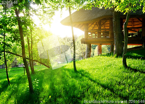 Image of Gazebo among the trees