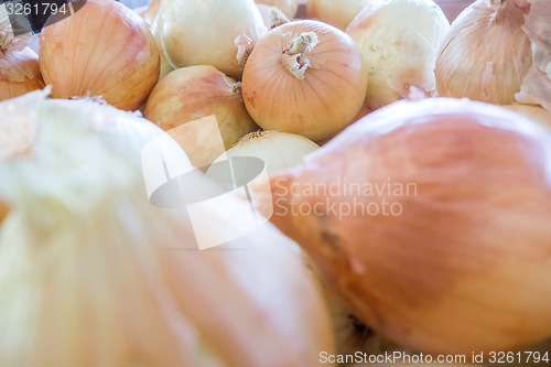 Image of fresh onion on farm display