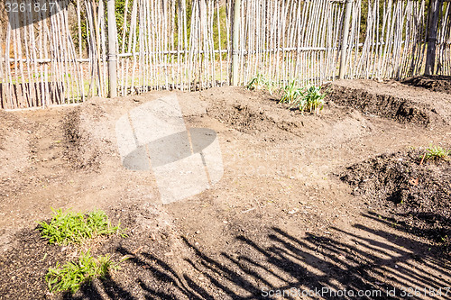 Image of Small vegetable garden with risen beds in the fenced backyard