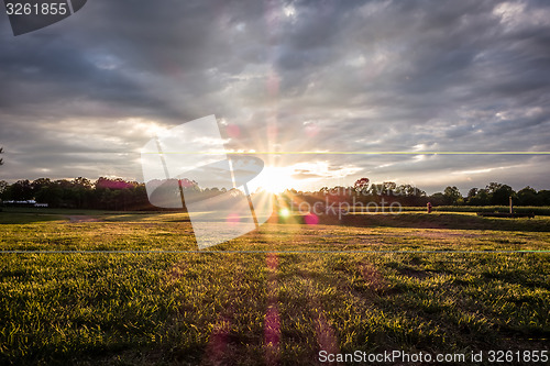 Image of Sunset over green farm field 