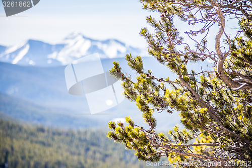 Image of colorado rocky mountains near monarch pass