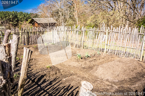 Image of Small vegetable garden with risen beds in the fenced backyard