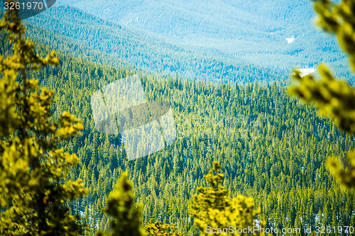 Image of colorado rocky mountains near monarch pass