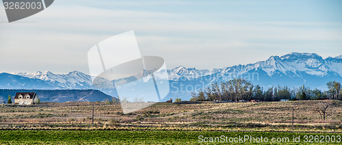 Image of at the foothills of colorado rockies
