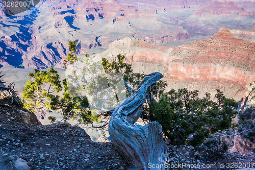 Image of scenery around grand canyon in arizona