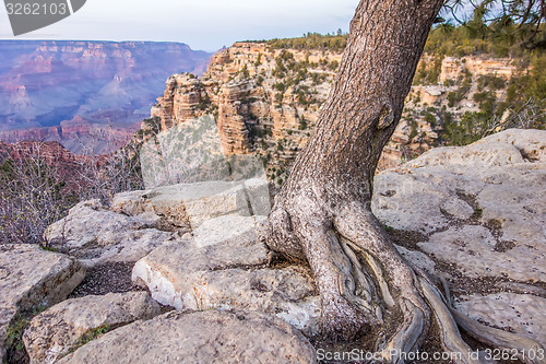 Image of scenery around grand canyon in arizona