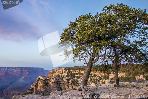 Image of scenery around grand canyon in arizona