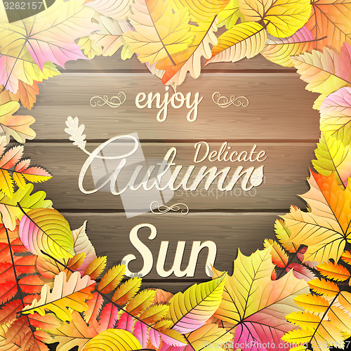 Image of Autumn typography poster. EPS 10