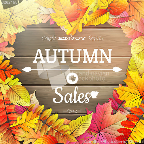 Image of Autumn sale typography poster. EPS 10