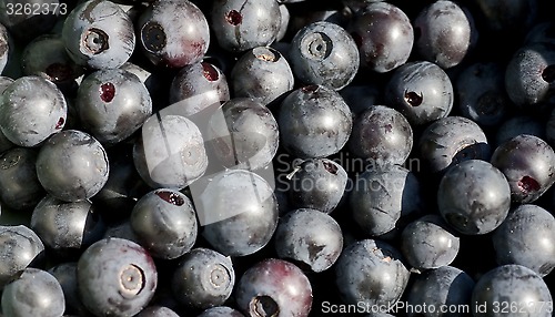 Image of blueberries
