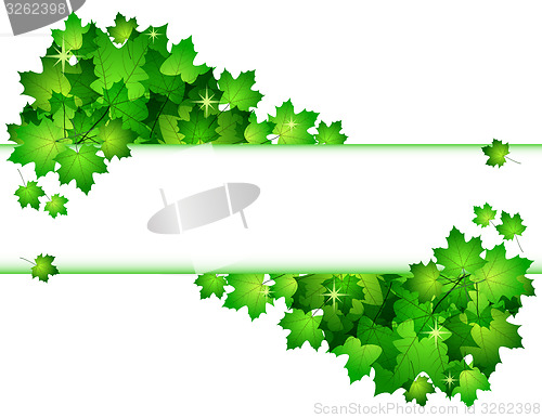 Image of Nature background with green fresh leaves . 
