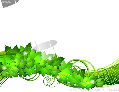 Image of Nature background with green fresh leaves . 