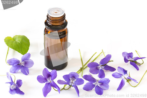 Image of Bach flower remedies of violets on white background