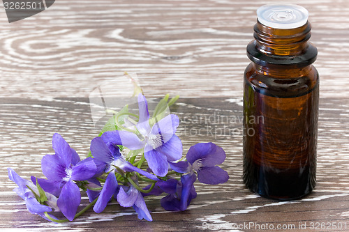 Image of Bach flower remedies of violets