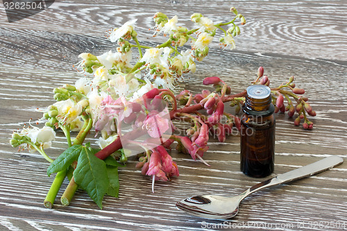 Image of Bach flower remedies of red and white chestnut