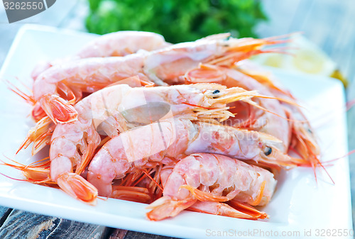 Image of shrimps